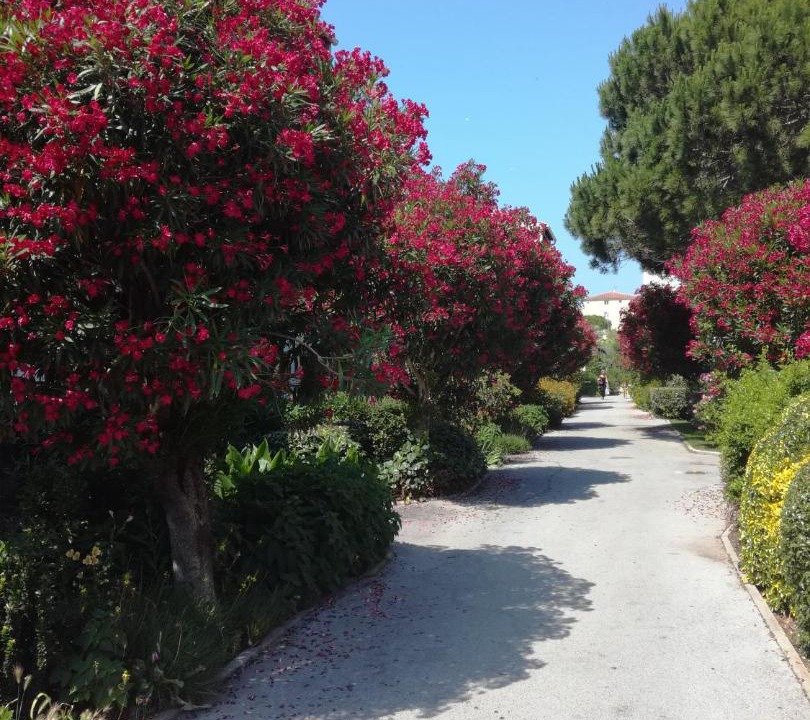 Photo of Others in Frejus