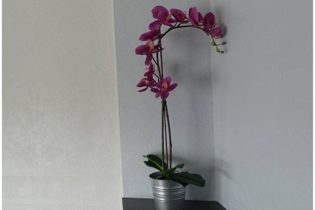 Photo of Others in Roussillon-en-Isere