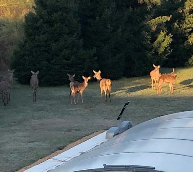 Photo of Others in Clere-les-Pins