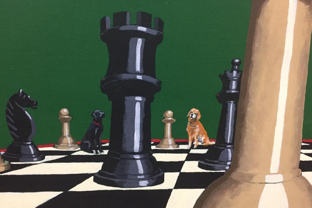 Photo of Others in Sherborne