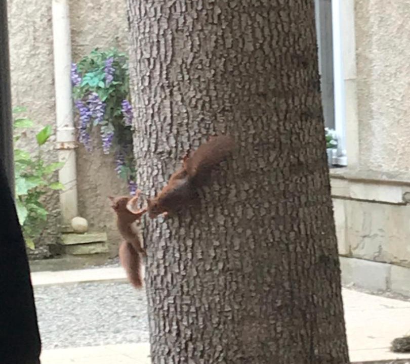 Photo of Others in Chalabre