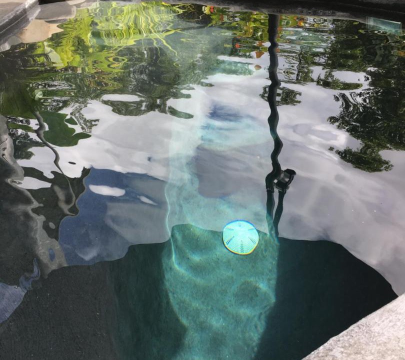 Photo of Others in Cow Bay