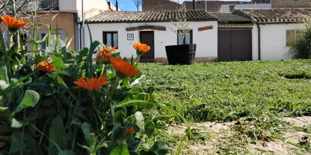 Photo of Others in Carcastillo