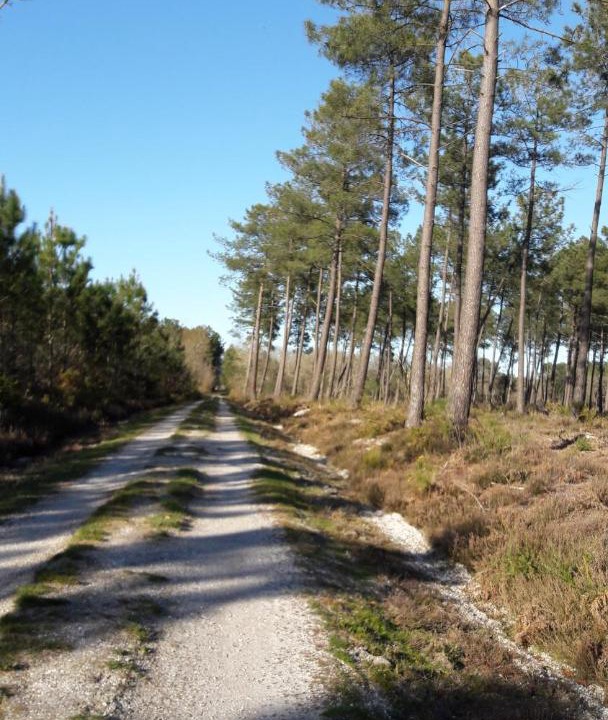 Photo of Others in Saint-Medard-en-Jalles