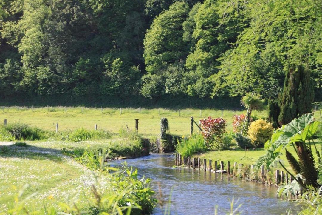 Photo of Others in Ganzeville