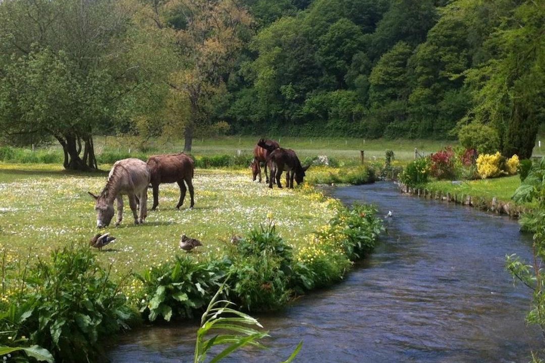 Photo of Others in Ganzeville