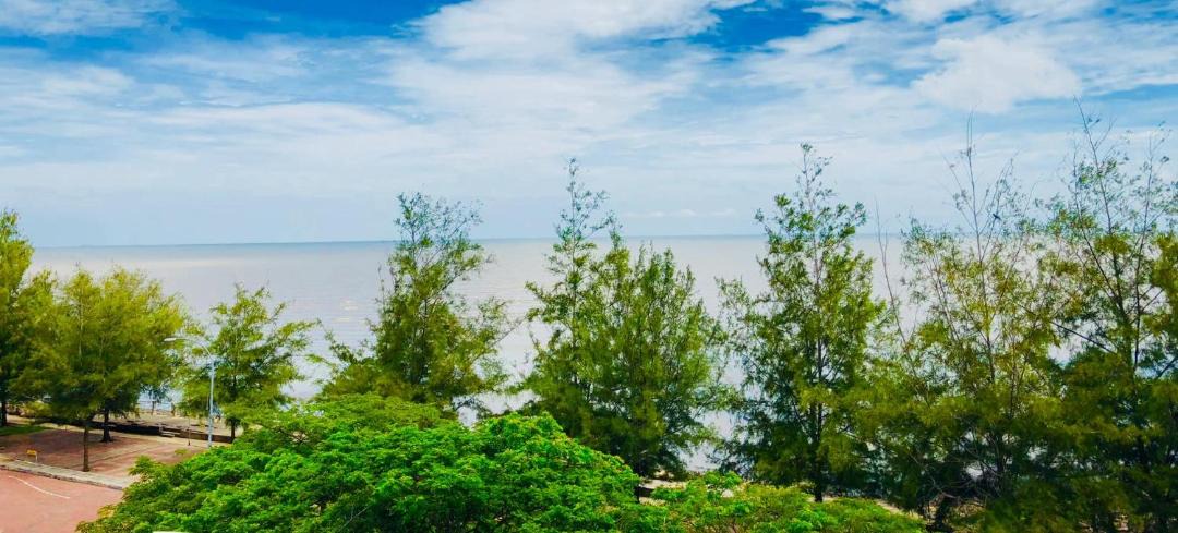 Photo of Outdoor in Pontian