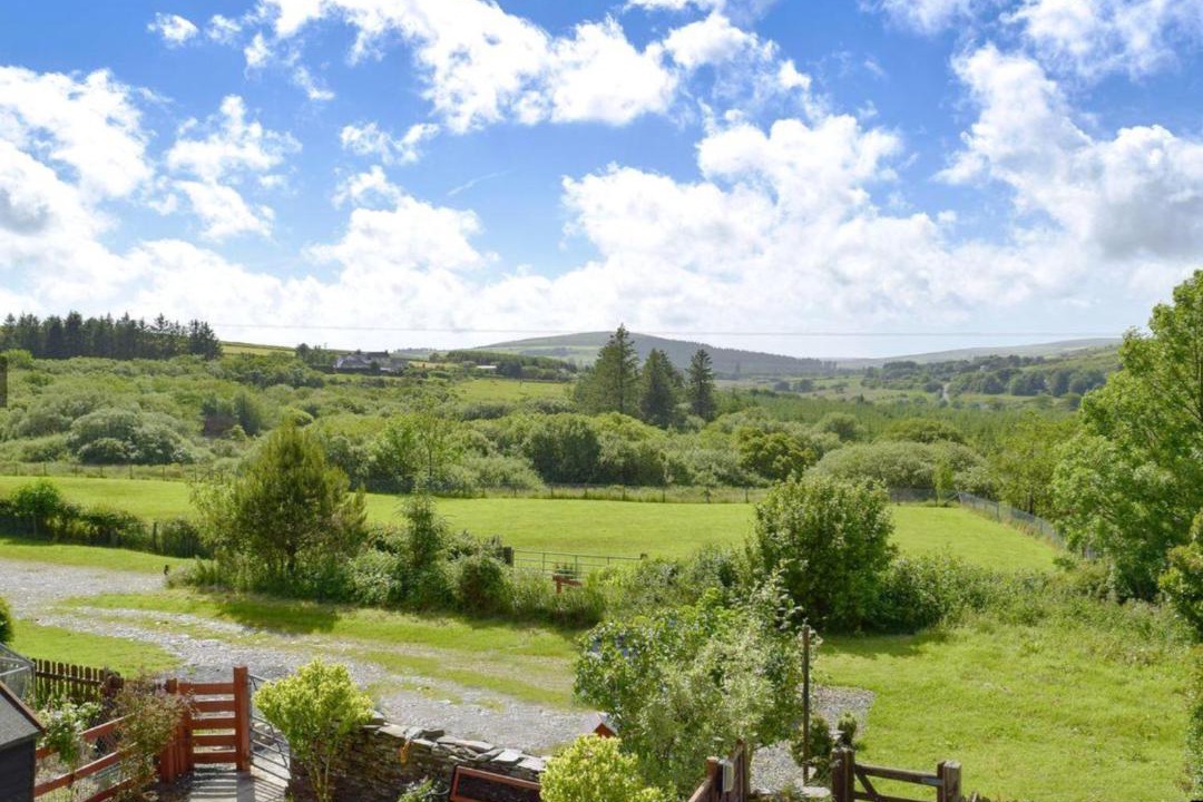 Photo of Others in Rosebush