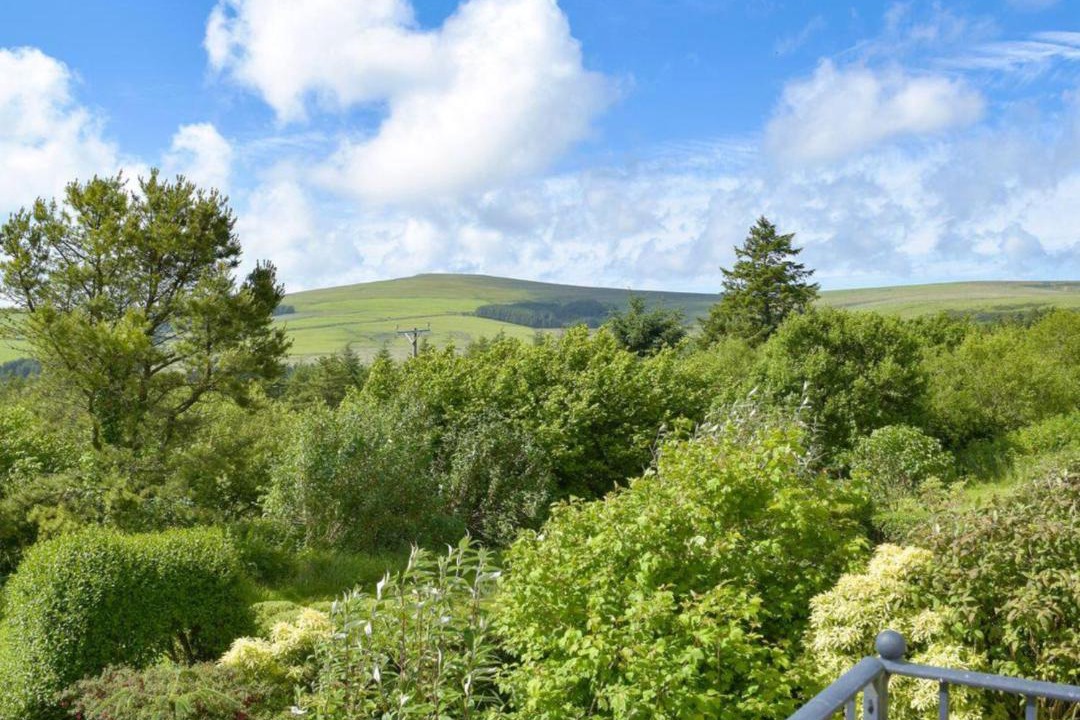 Photo of Outdoor in Rosebush