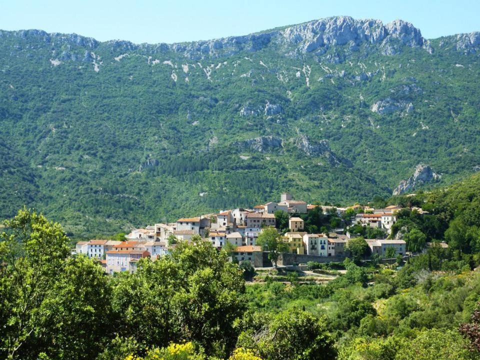 Photo of Others in Duilhac-sous-Peyrepertuse