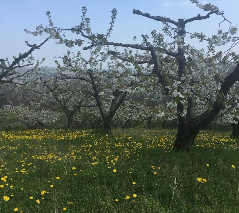 Photo of Others in Nozieres