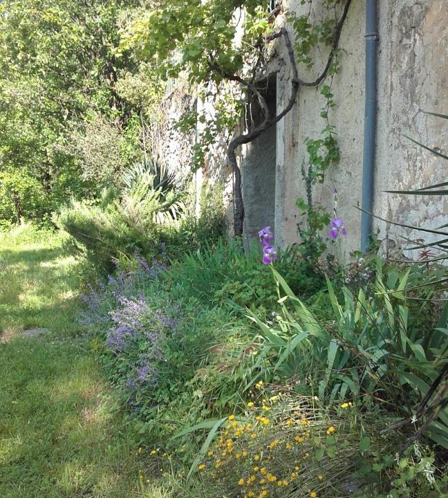 Photo of Others in Saint-Laurent-le-Minier