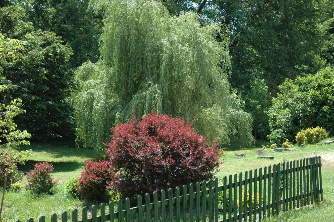 Photo of Outdoor in Lucmau