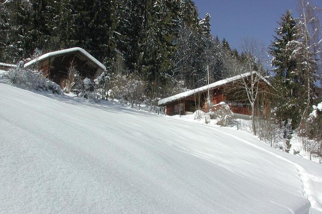 Photo of Others in Zweisimmen