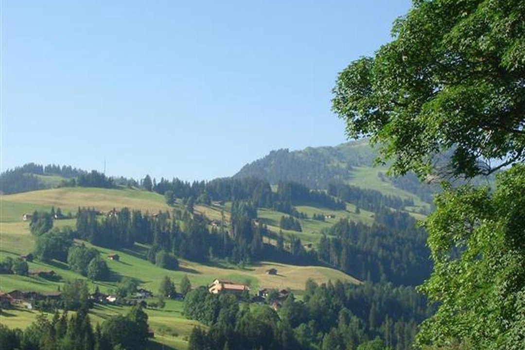 Photo of Others in Zweisimmen