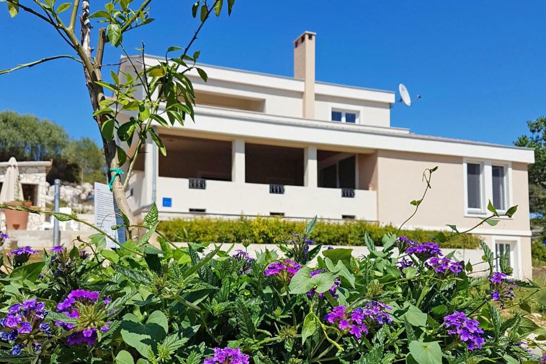 Photo of Buildings in Molat