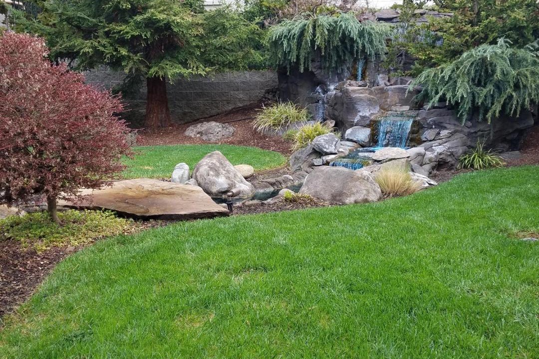 Photo of Others in Grants Pass