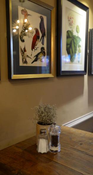 Photo of Others in Syon