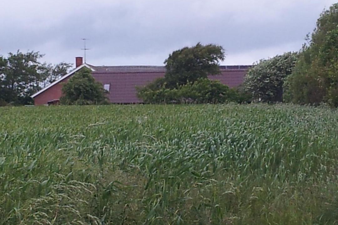 Photo of Others in Ringkobing