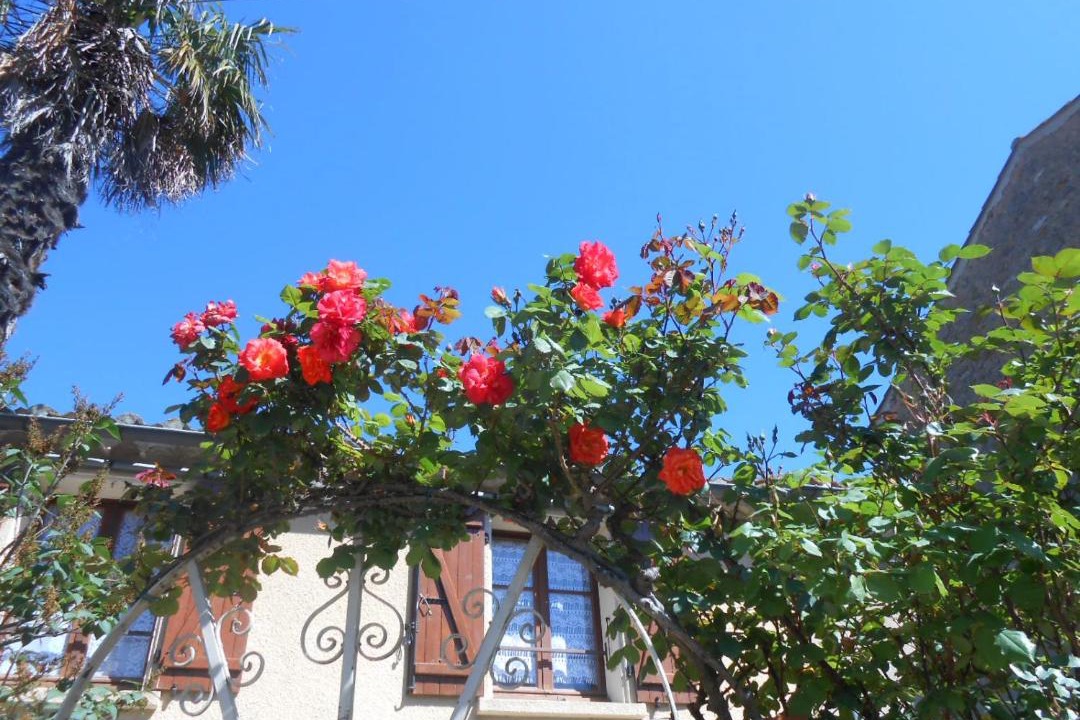 Photo of Others in Coustaussa