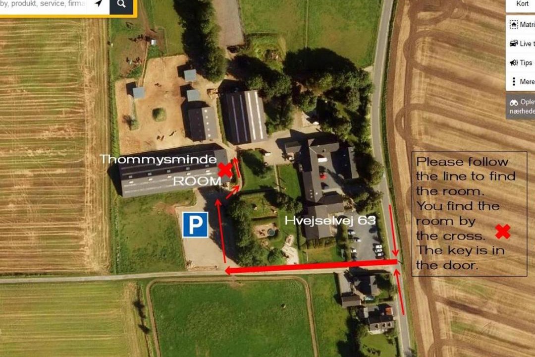 Photo of Others in Jelling