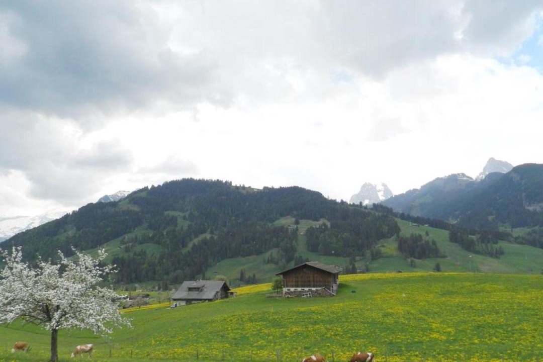 Photo of Outdoor in Saanen