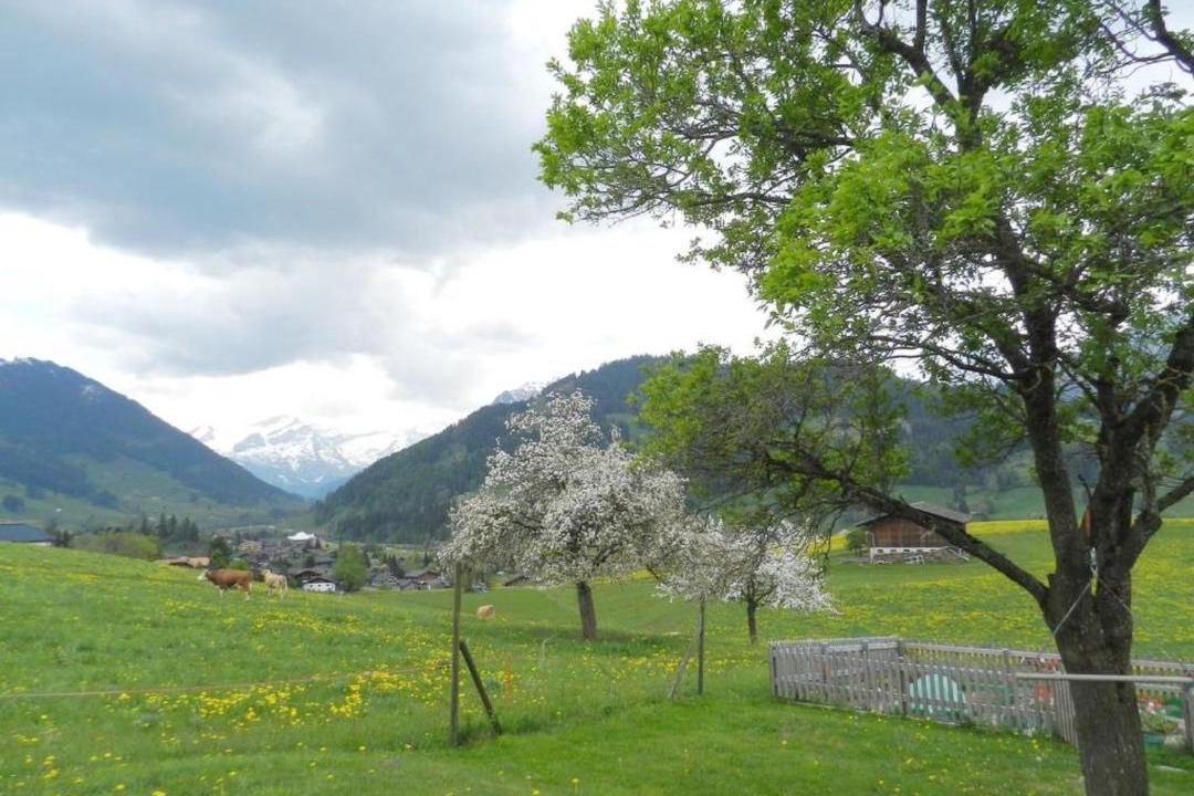 Photo of Outdoor in Saanen
