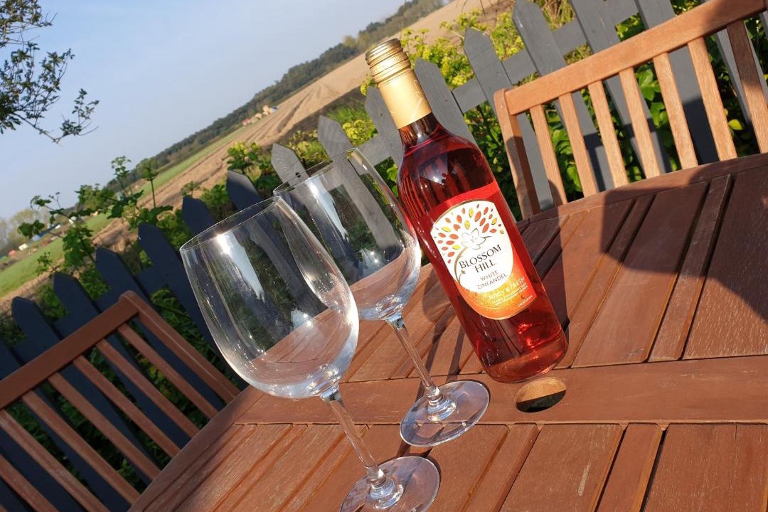 Photo of Patio Balcony in Happisburgh
