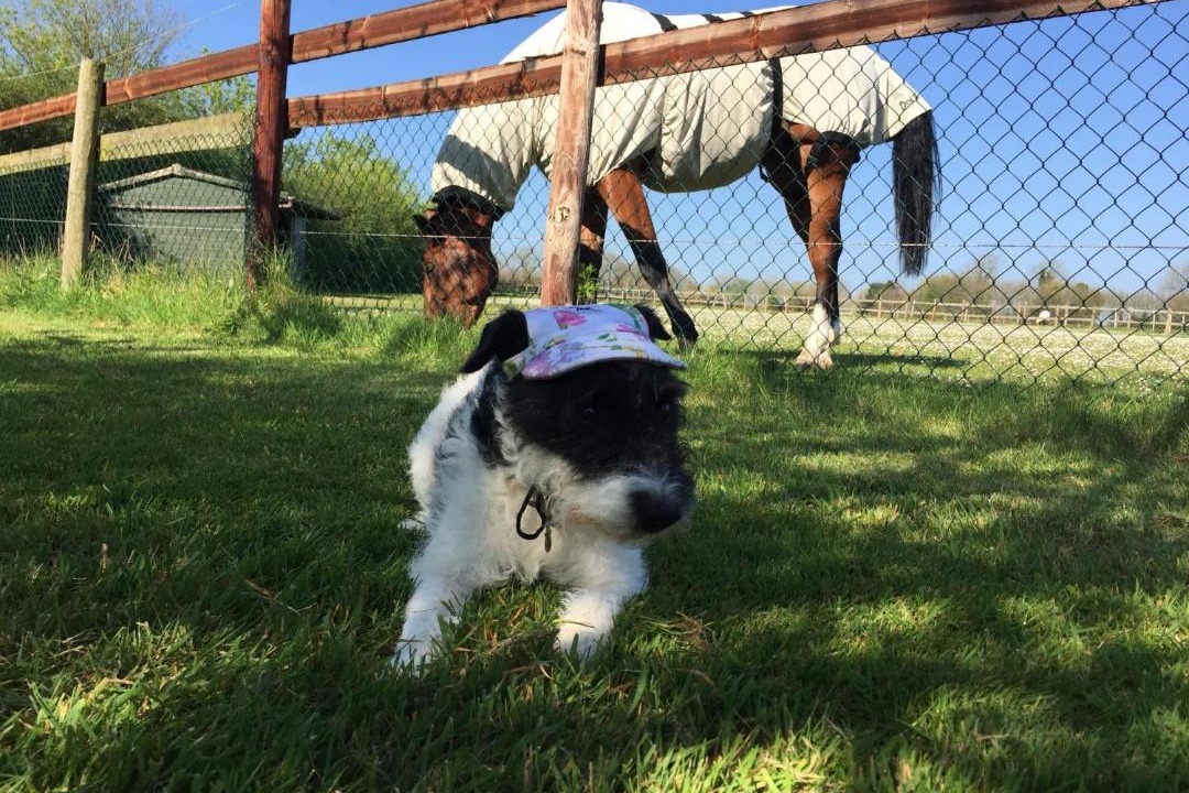 Photo of Others in Bruton