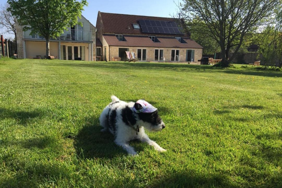 Photo of Others in Bruton