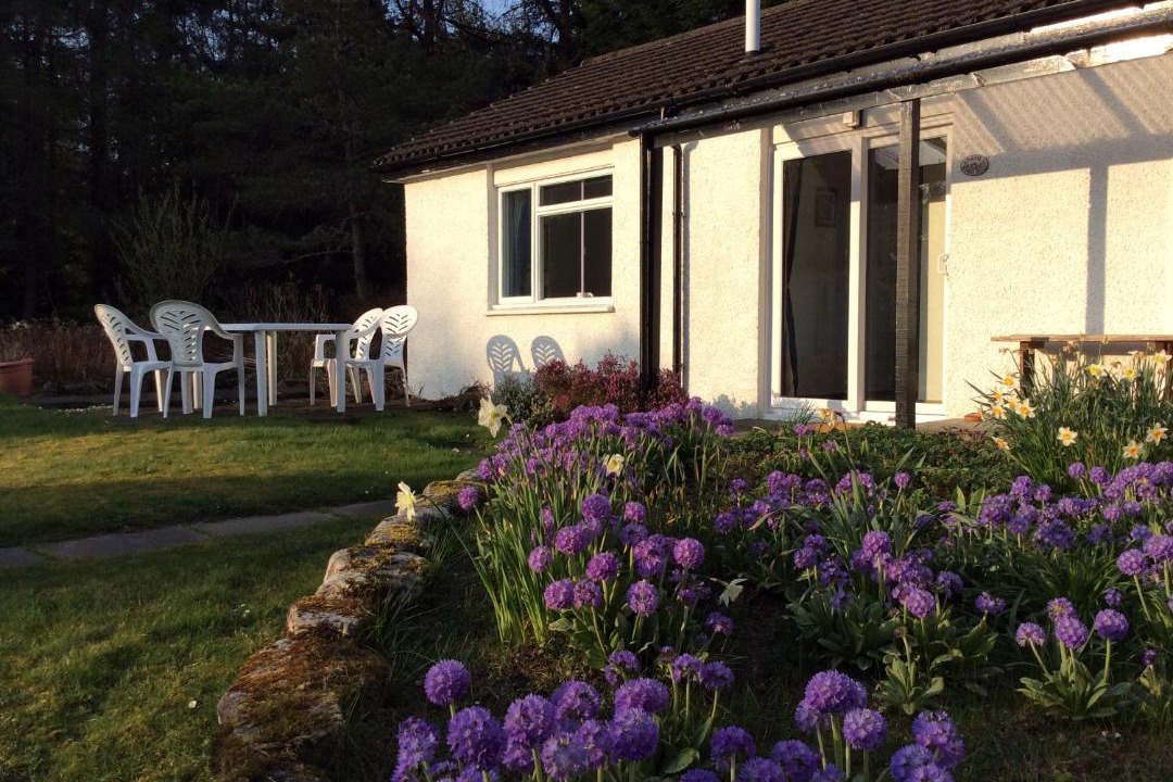 Photo of Others in Tyndrum