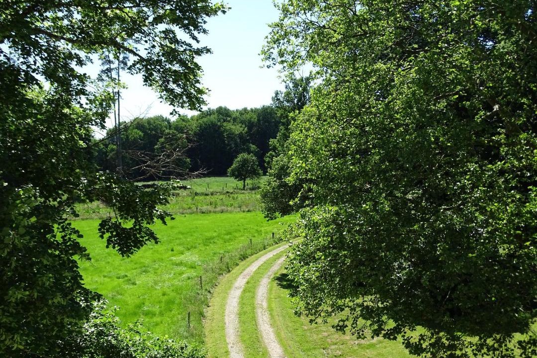 Photo of Others in Lesignac-Durand