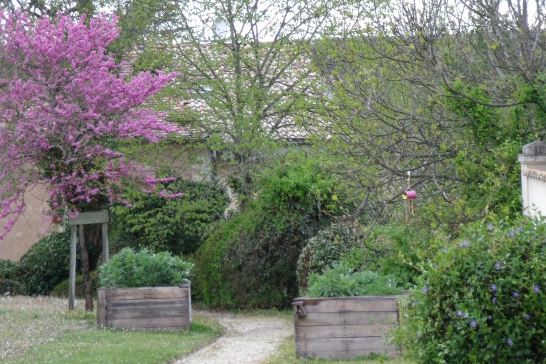 Photo of Others in Chevanceaux