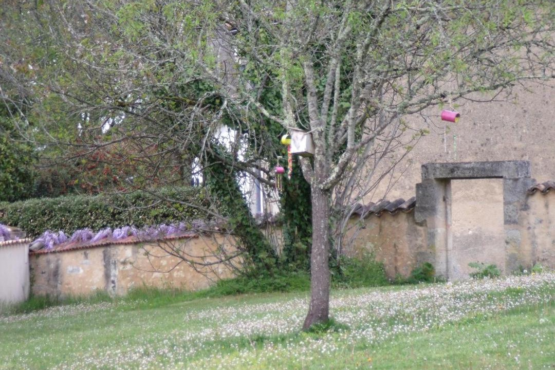 Photo of Buildings in Chevanceaux