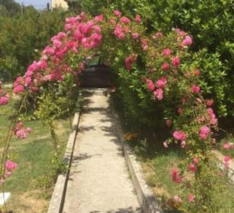 Photo of Outdoor in Lopar