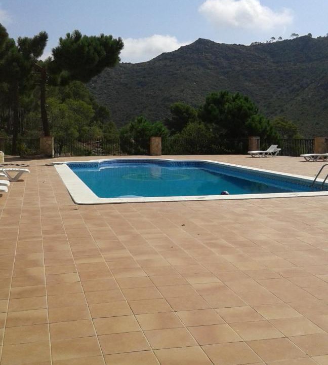 Photo of Others in Benicassim