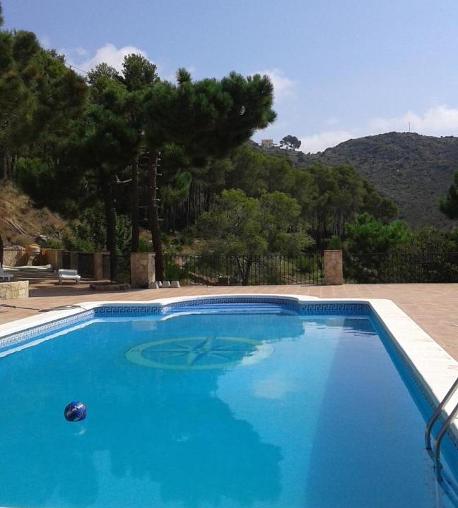 Photo of Others in Benicassim