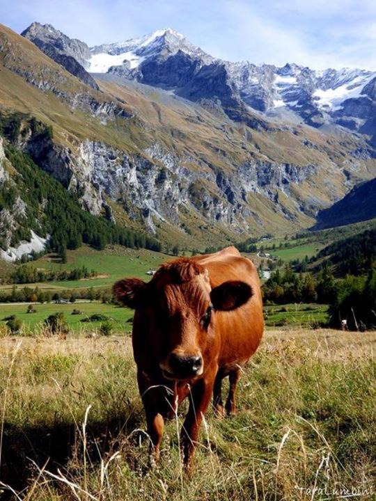 Photo of Others in Bourg-Saint-Maurice