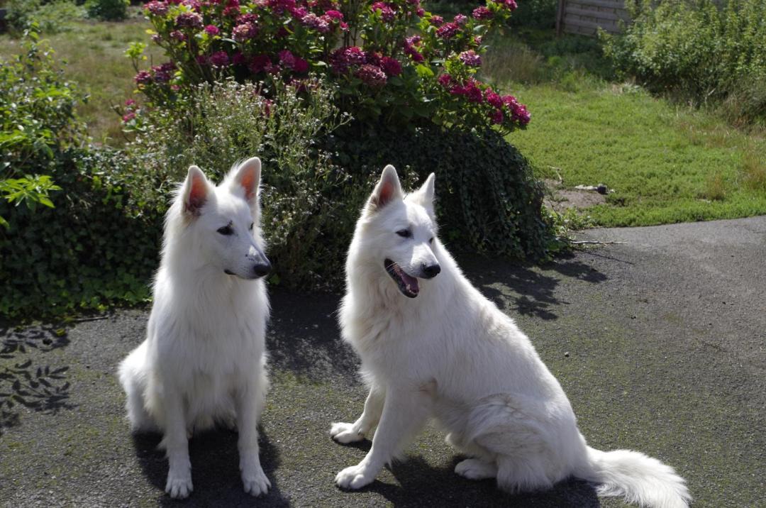 Photo of Human In Picture in Landas