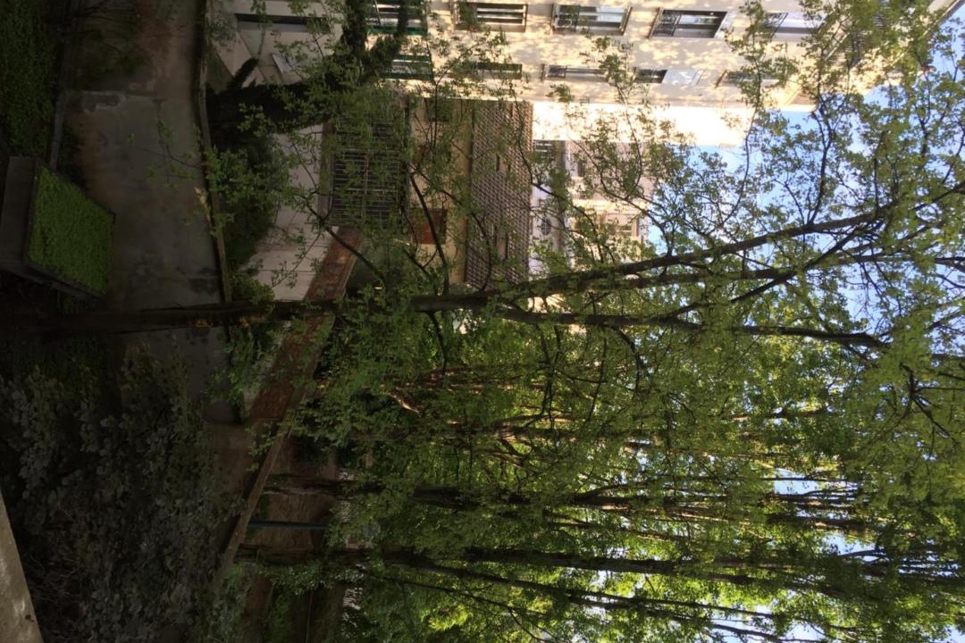 Photo of Others in 15th Arrondissement