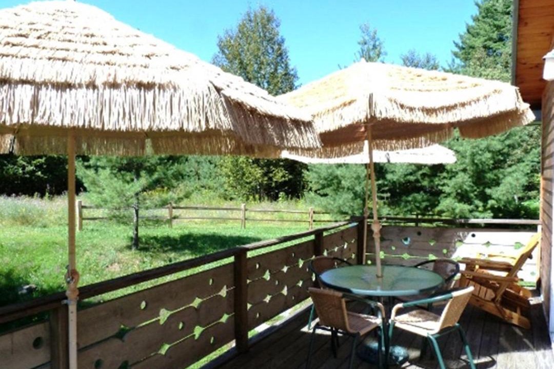 Photo of Others in Lake Placid