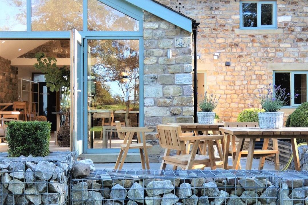 Photo of Others in Bay Horse