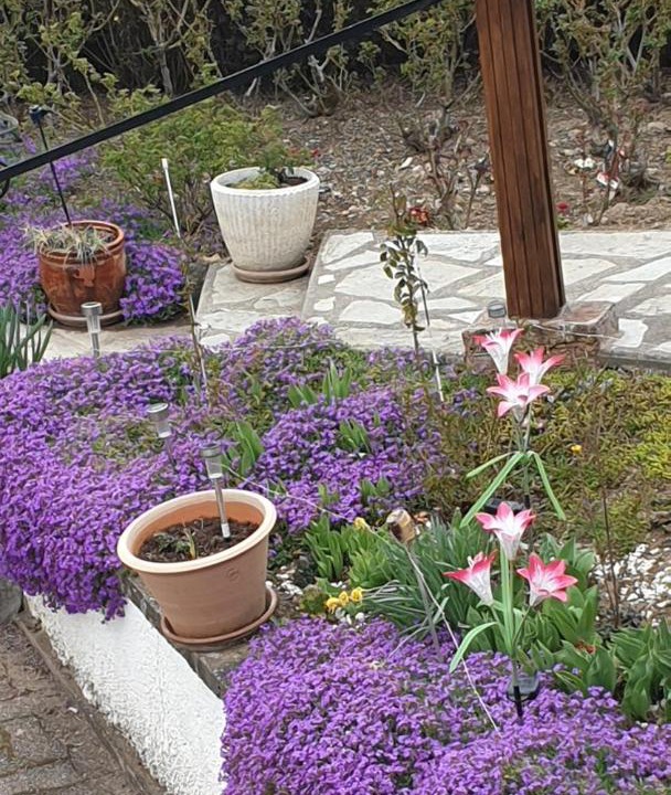 Photo of Patio Balcony in Pontaumur