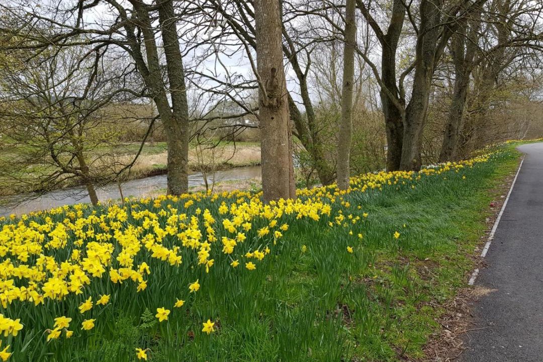 Photo of Others in Ellon