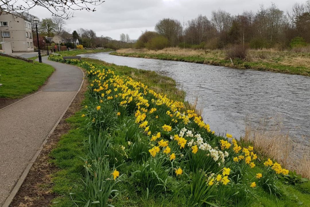 Photo of Outdoor in Ellon