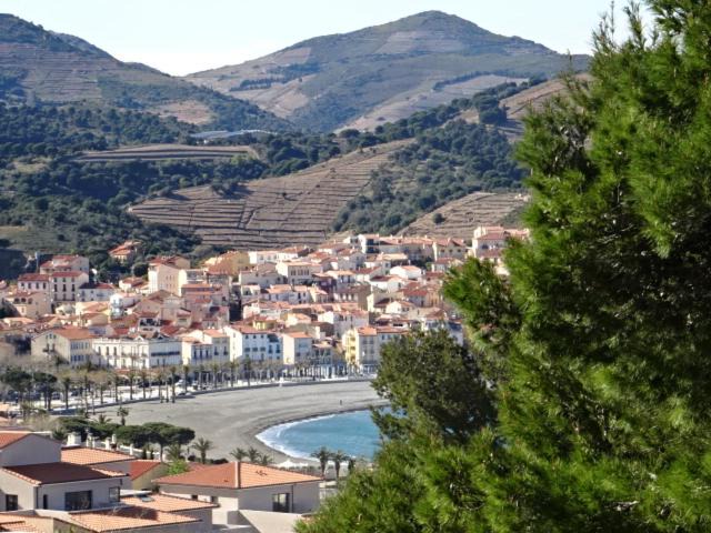 Photo of Others in Banyuls-sur-Mer
