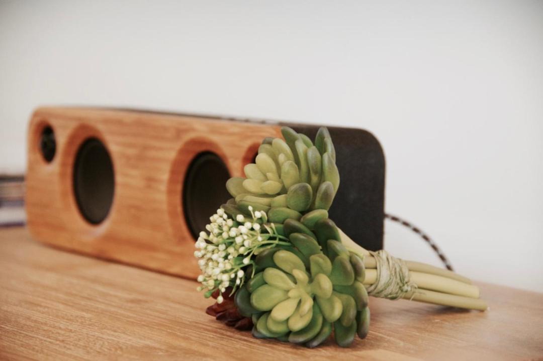 Photo of Others in Hamilton Lake