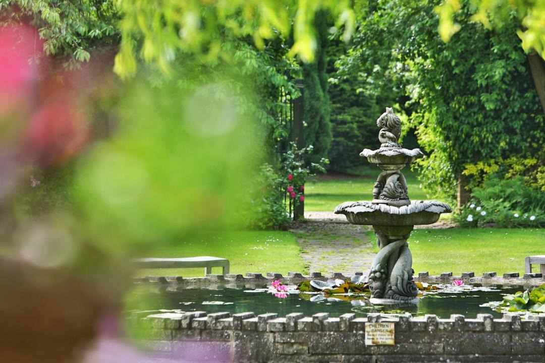 Photo of Others in Kidderminster