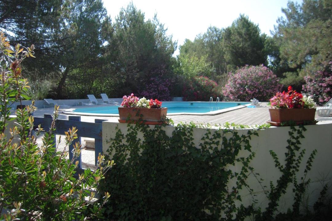 Photo of Others in Saintes-Maries-de-la-Mer