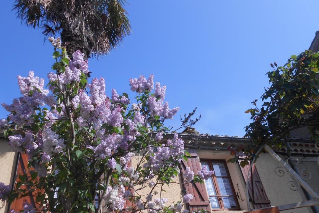 Photo of Others in Coustaussa